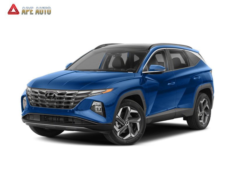 Độ xe ô tô Hyundai